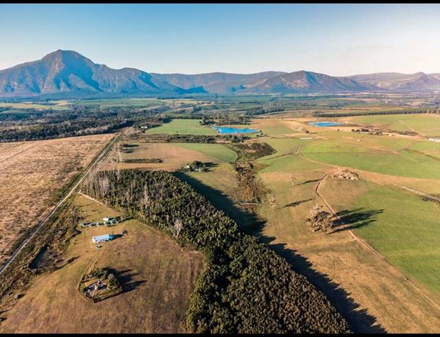 FARM FOR SALE IN TSITSIKAMMA
